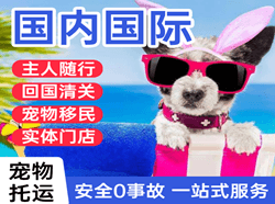 长治航空空运国际宠物托运 【国